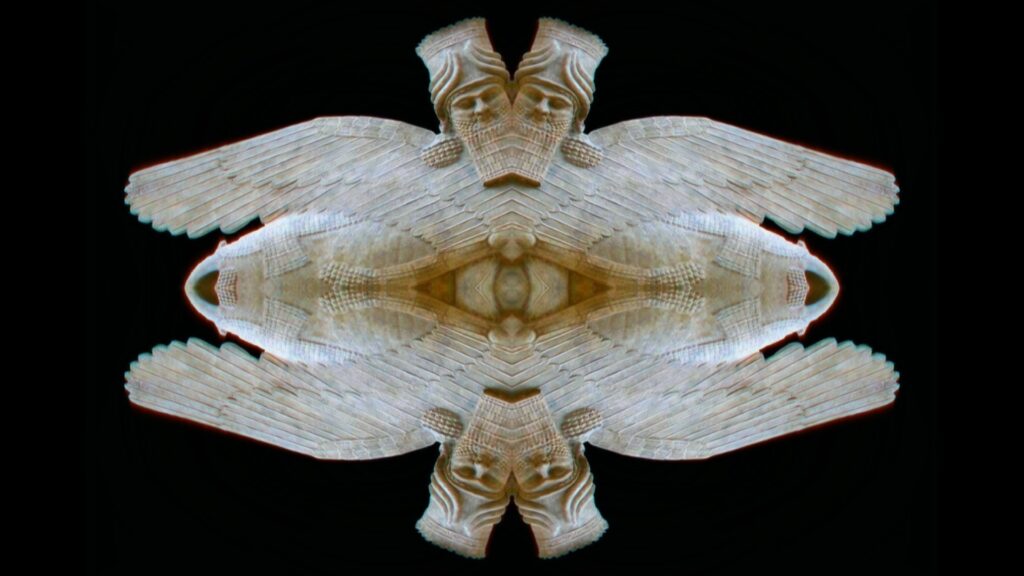 Frame Video da i Barbari