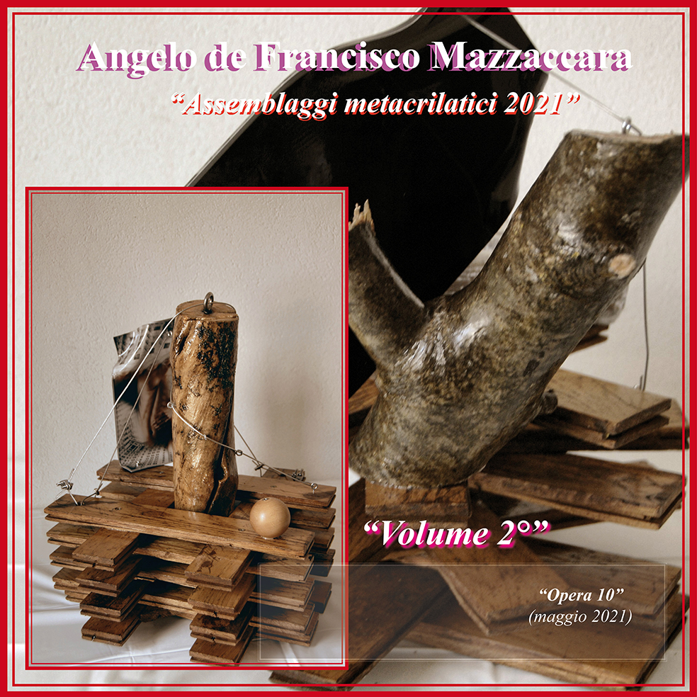 Copertina assemblaggi 2021 Volume 2