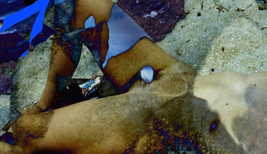 “Le Porte del Mediterraneo”   (2008/2013)