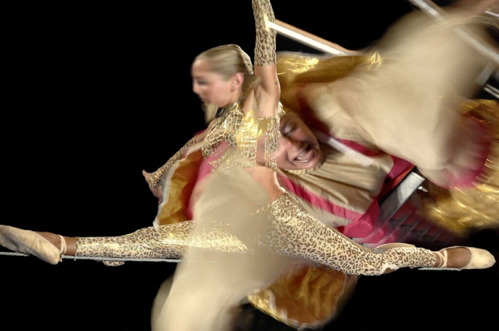 “Acrobatiche”  (2008/2010)