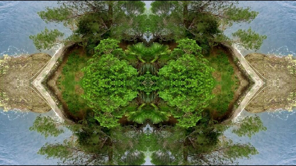 Frame Video Il Budda (8)