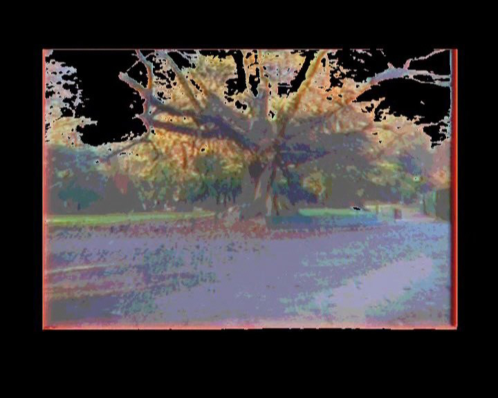 Suonata n 29 Alla Madre (3)