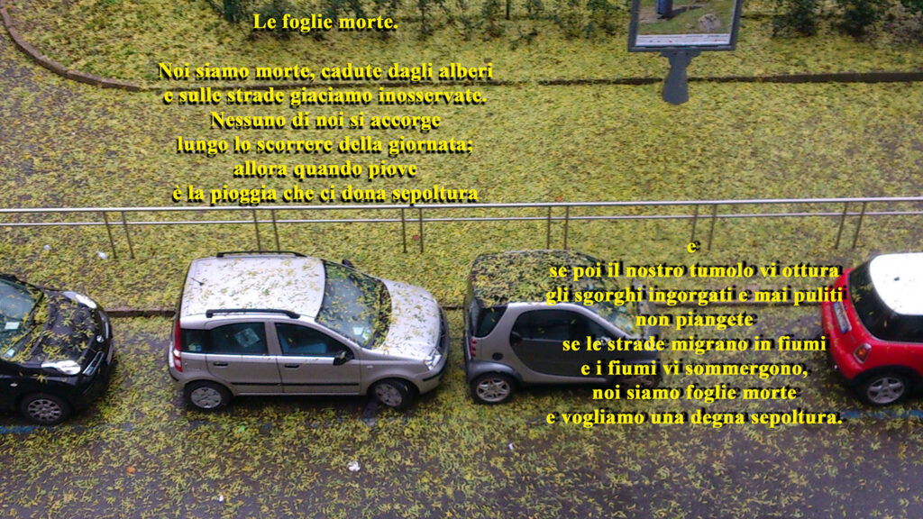 Le-foglie-morte